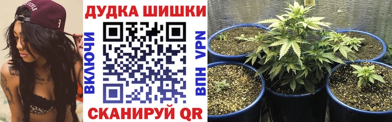 Купить наркотики сайты Пудож Канабис гидра ONION Гашиш Амфетамин Меф мяу мяу Альфа ПВП COCAIN