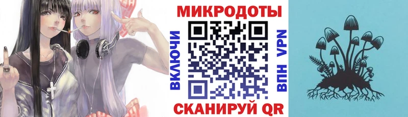 цена наркотик Пудож Галлюциногенные грибы GOLDEN TEACHER